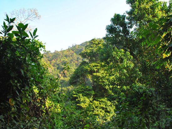mit Ausblicken auf die Küste, die leider wie so oft im Dunst liegt