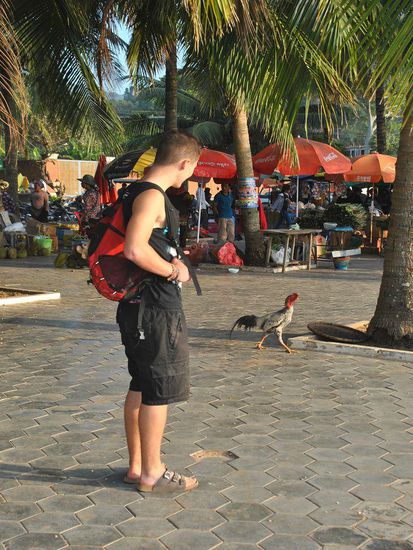 auf der Flucht vor Kochtopf und Grill  ???
(also nicht Kai !!!)