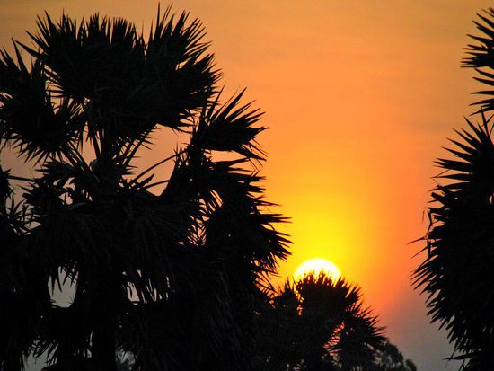 Sonnenaufgang, Blick von unserer Terrasse