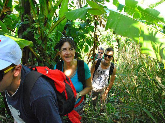 Wir wollten "Dschungle-Feeling", wir haben es bekommen!