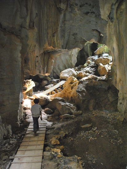 unser kleiner "Führer": "this way....."