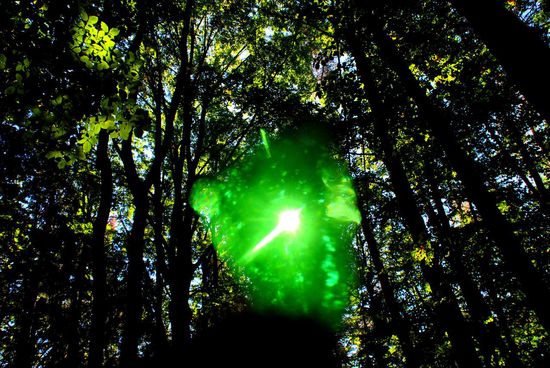Schade, wenn die Leute Flaschen im Wald wegwerfen, aber eine grüne Scherbe hat mir zu diesem Foto verholfen.