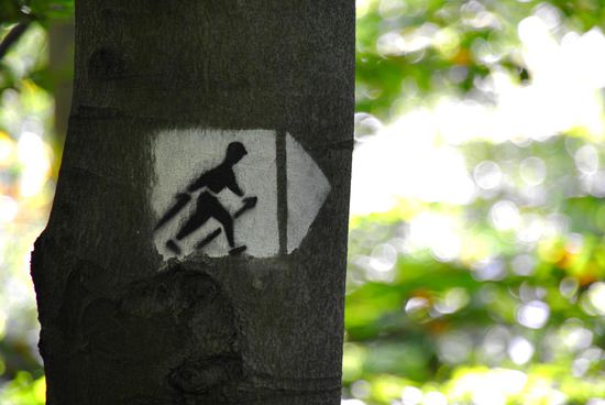 whow - NORDic walking im OSTen! sogar die Strecken sind ausgeschildert... hmm... gebildert ?!?