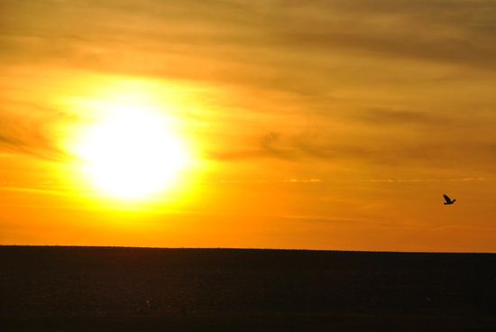 herbstlicher Sonnenuntergang