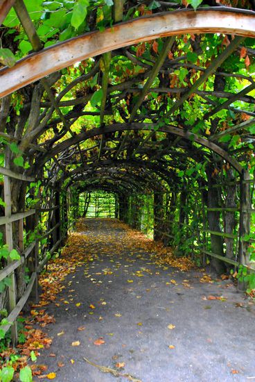 der "Pflanzentunnel" umgibt den Schlossgarten