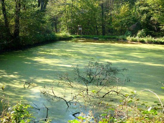 zauberhafte Ausblicke