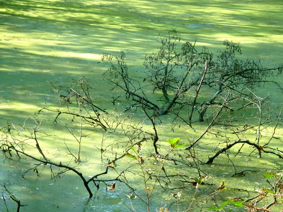 fast wie eine Märchenwelt