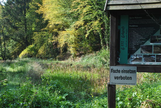 ooh, auf die Idee wären wir gar nicht gekommen...wir haben nicht einmal Wasser gesehen.