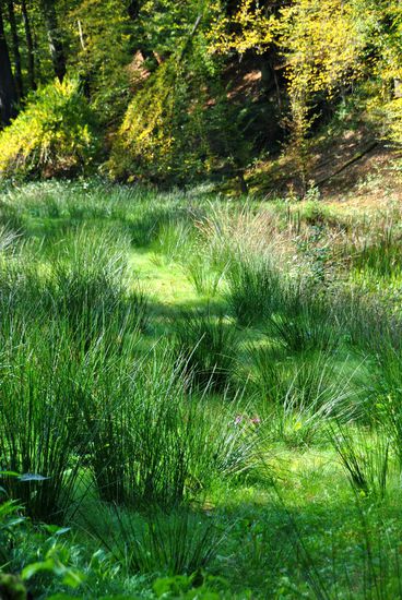 und dann wieder GRÜÜÜÜÜÜN