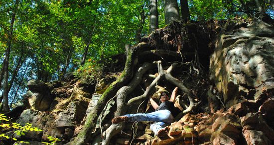 tja - hier kommt ja fast die Erinnerung an Ta Prohm hoch, den Tempel in Kambodscha, wo die Würgefeigen mit ihren Wurzeln von den Steinen Besitz ergreifen.