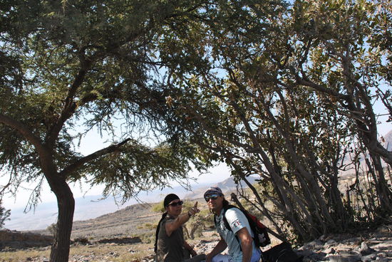 ... aber wir wollen noch weiter hinauf