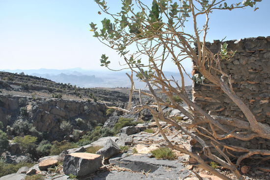 mitten am Berg auf einmal ein Haus 