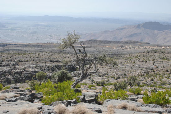 auch wenn es auf dem Bild nicht so steil wirkt...