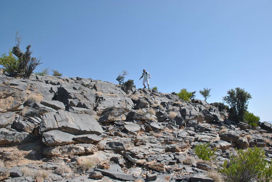 ... stellenweise ist es wirklich nicht ohne!