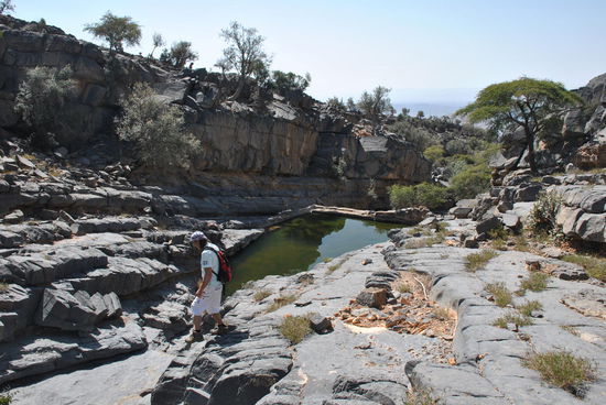die Ziegentränke ??