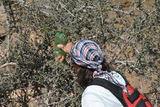 Eine "Markierung" für den Rückweg 
