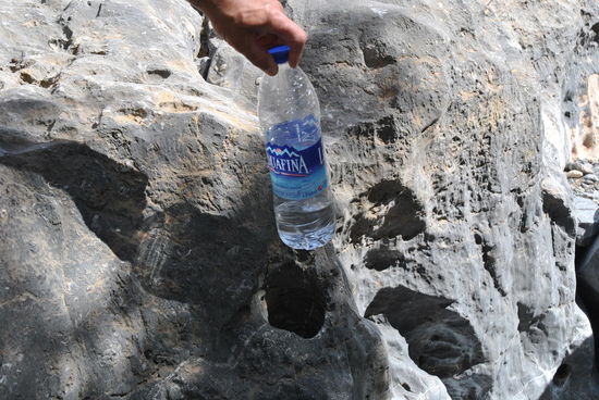 Flaschenhalter in der Natur