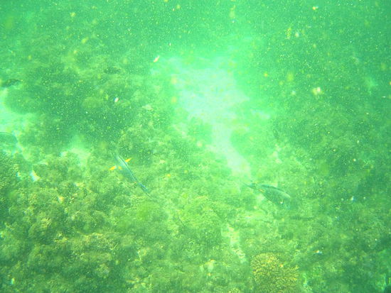 "im Trüben fischen" 