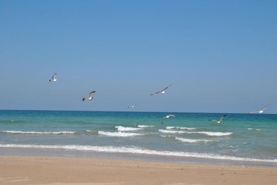 gestern noch Schnee und MINUS-Grade - heute barfuß spazieren gehen 