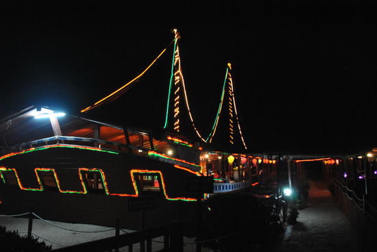 ... künstliche Beleuchtung mit Lichterketten und LED Lampen kommt 