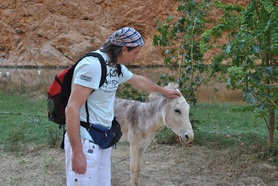 erste Begegnung mit Lebewesen im Wadi