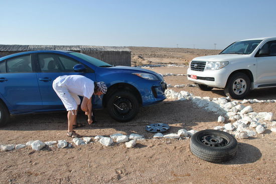 Überraschung am Morgen
