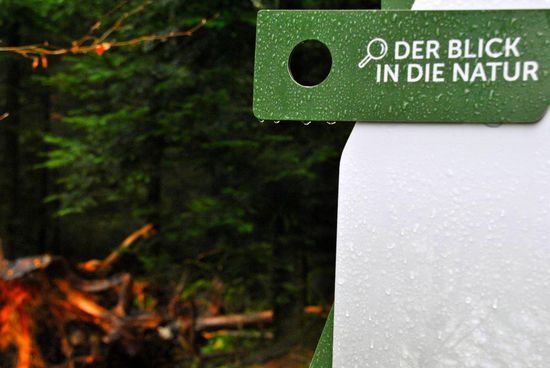 ja, soweit der Nebel es zulässt, blicke ich in die Natur...