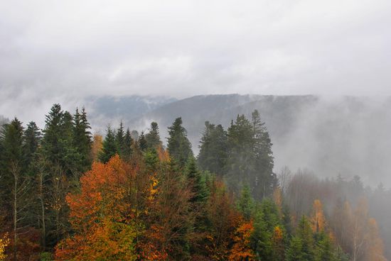 hier überwiegt noch bunt