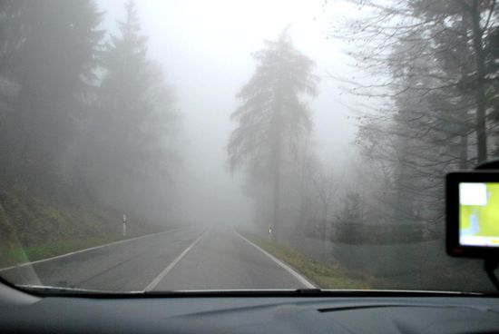 der Schwarzwald im Nebel...