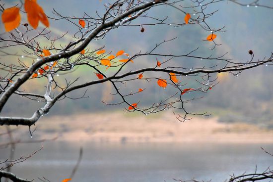 wie schön: diese orangenen Farbpunkte in dem ganzen GRAU