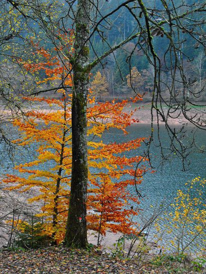 brilliantes Farbspiel!