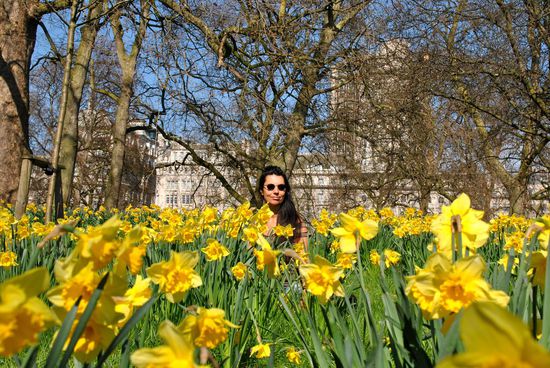 stellenweise hätte man den Park auch "yellow park" nennen können - wonderful