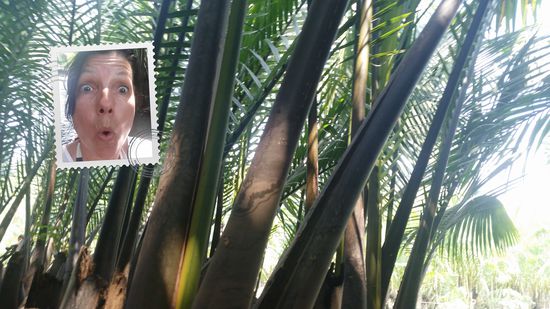 manchmal gerät man auch mit Kajak in Sackgasse 