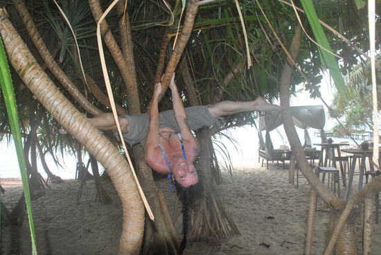 Perfekte Bäume für ein paar "Turnübungen" zwischendurch 