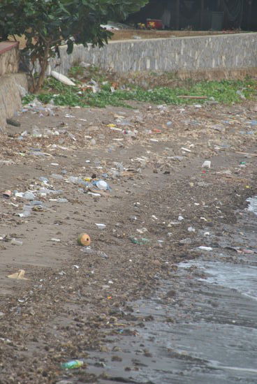 so sieht das Ufer direkt vor der Krabbe aus 