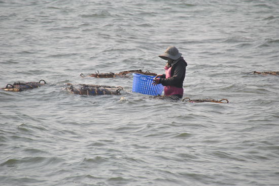 hier wird mal nach unserem Abendessen gesehen