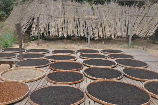 keine Mohnpizza, Pfeffer, der getrocknet wird.