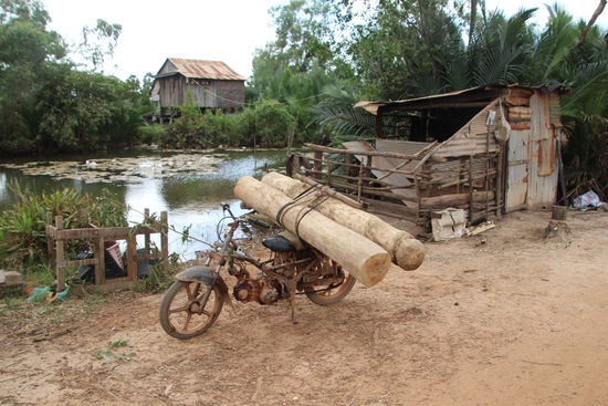 auf nach Champa Lodge