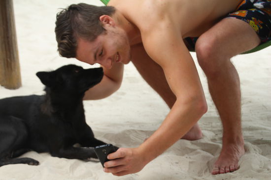 Drei Hunde gehören hier dazu und sind auch entsprechend gepflegt.