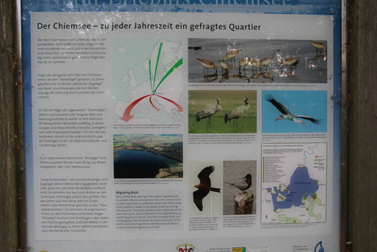 Naturschutzgebiet Hirschauer Bucht