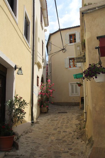 in der Altstadt