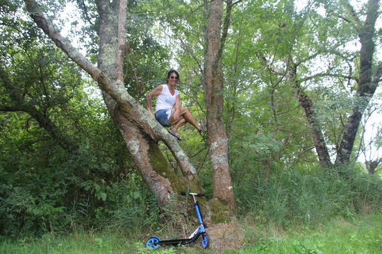 10 Sekunden sind nicht viel, um 5 Meter zurück zu legen und noch Position im Baum zu beziehen