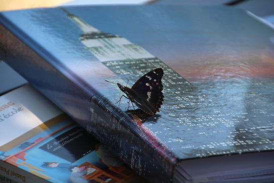 Besuch am Arbeitsplatz