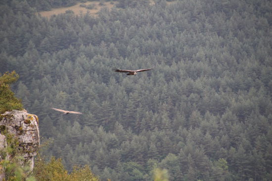 Was für ein Natur-Schauspiel - da lohnt sich ein Stopp!
