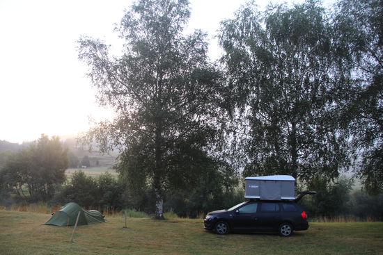 Morgennebel bei 10 Grad .... brrrrrr