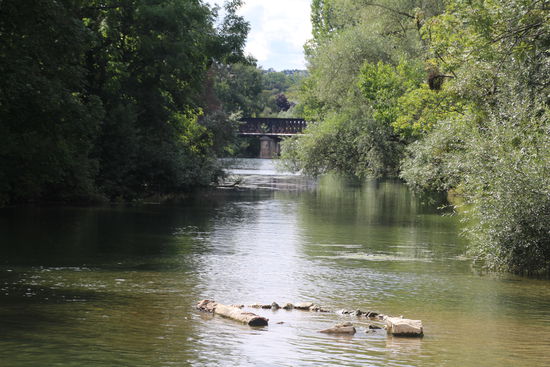 die "geführte" Flusswanderung lohnt sich 