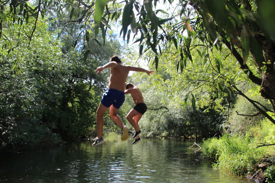 auch vom Baum lässt es sich offensichtlich gut springen - hier sogar ohne Verbotsschild 