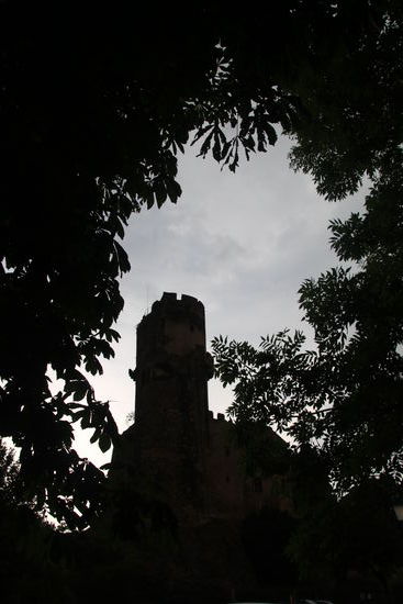 Burg in Sicht - aber leider keine "Rettung" 