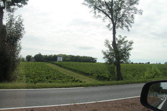 Weinstraße nach Bordeaux