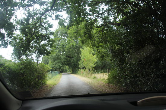 kleine Straßen, wo kaum 2 Autos aneinander vorbei passen, sind auch immer wieder dabei